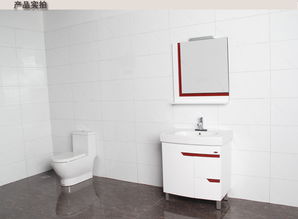 箭牌衛(wèi)浴Arrow浴室柜PVCAP348 APG8L348 價格、圖片、參數(shù)全解析